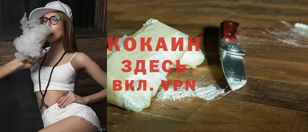 шишки Аркадак