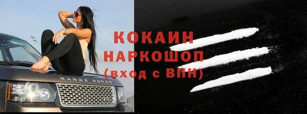 шишки Аркадак