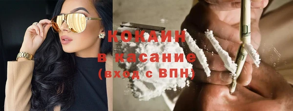 шишки Аркадак