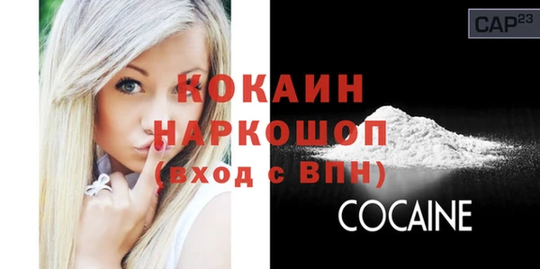 шишки Аркадак