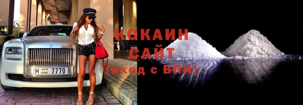 шишки Аркадак