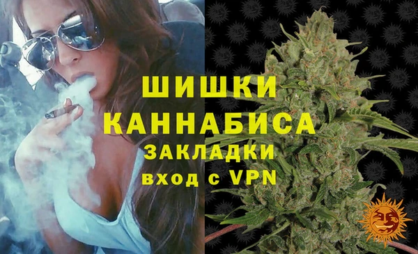 амф Арсеньев